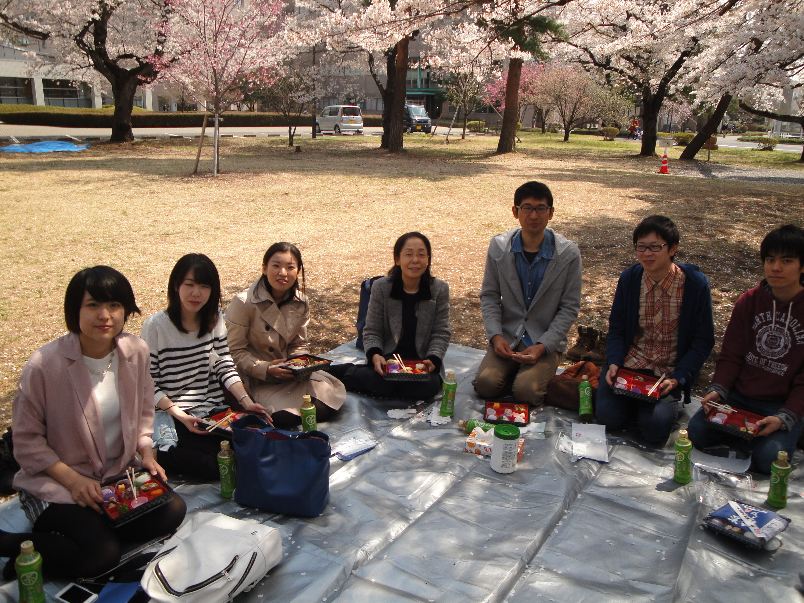 2014年のお花見の写真です
