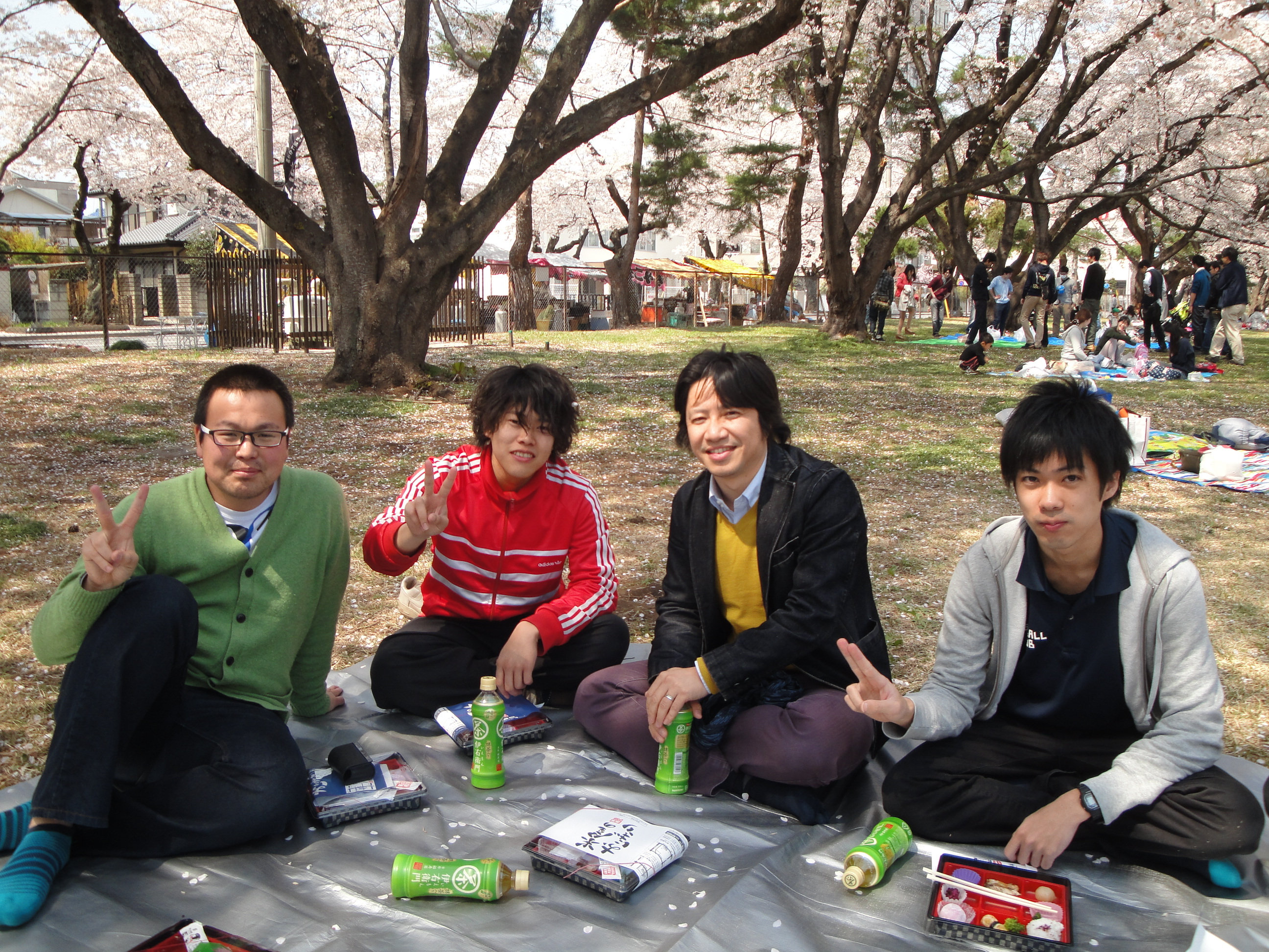 2014年のお花見の写真です