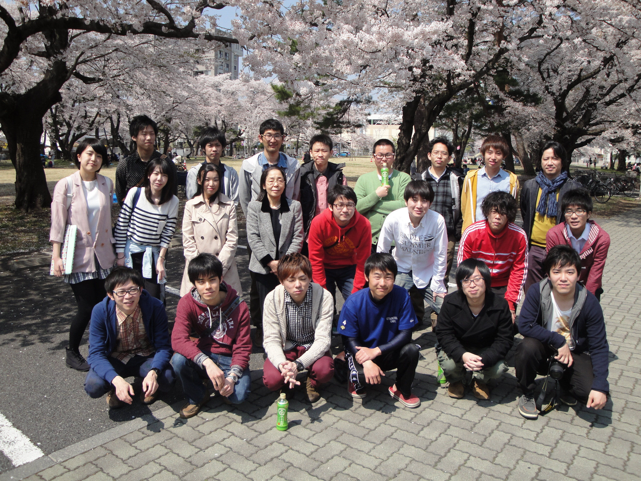 2014年のお花見の写真です