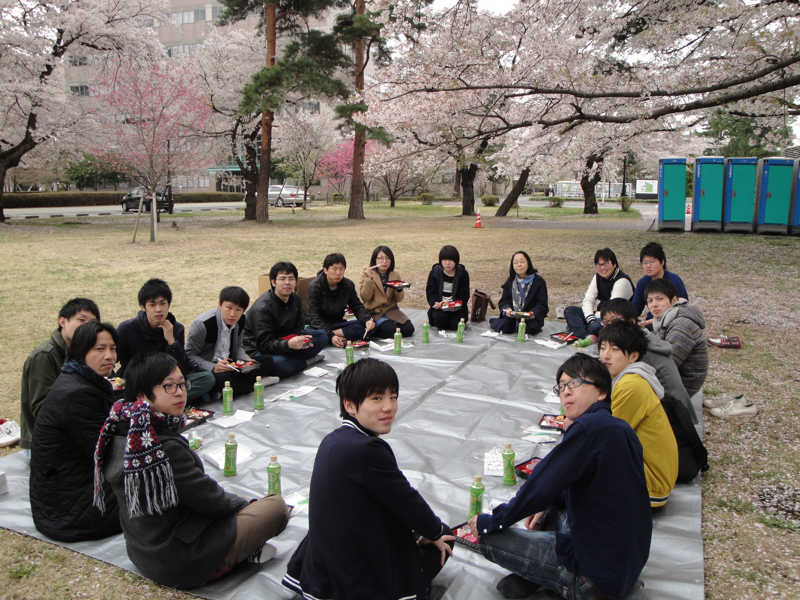 2015年のお花見の写真です