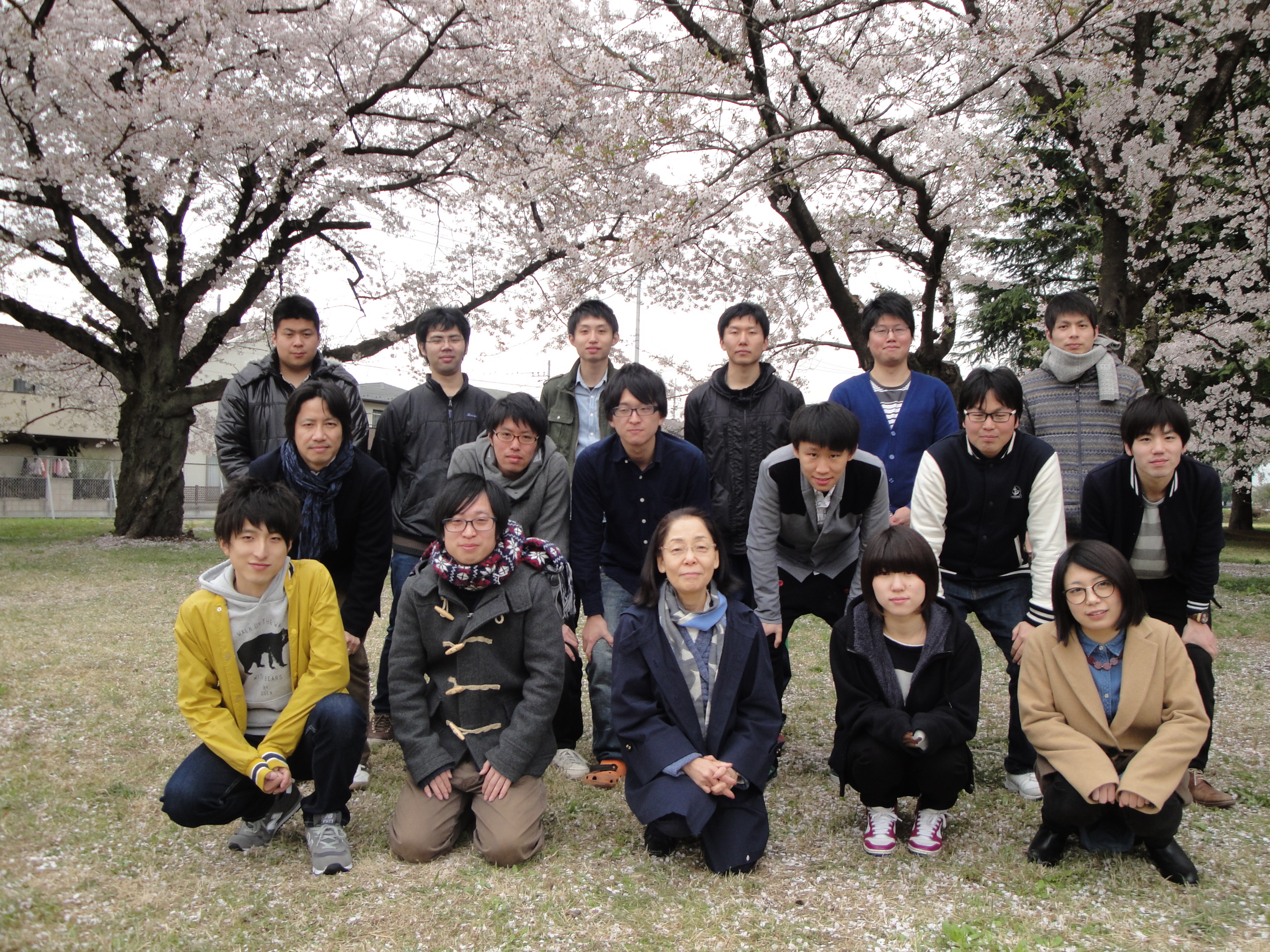 2015年のお花見の写真です