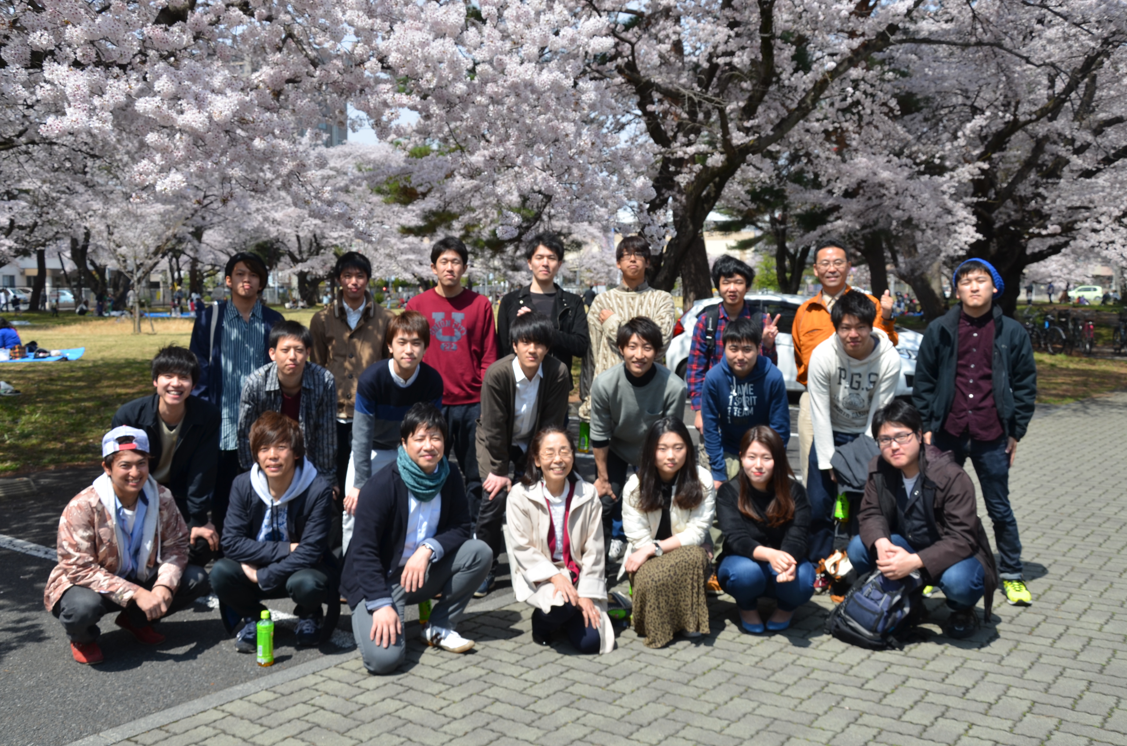 2017年のお花見の写真です